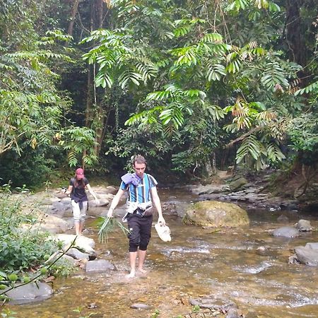 Pongo Guest House & Jungle Trekking Bukit Lawang Exteriör bild