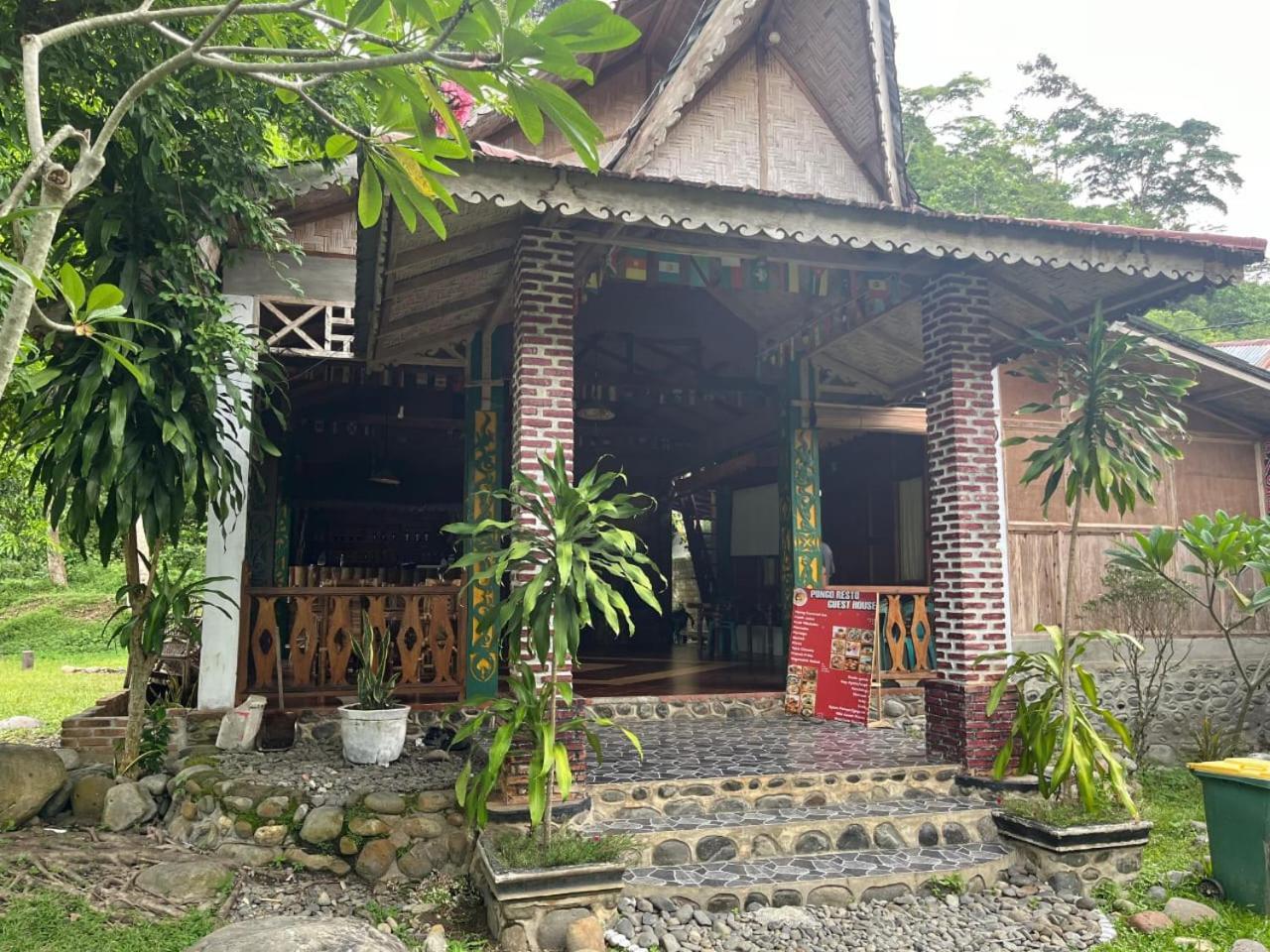 Pongo Guest House & Jungle Trekking Bukit Lawang Exteriör bild