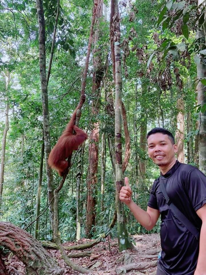 Pongo Guest House & Jungle Trekking Bukit Lawang Exteriör bild
