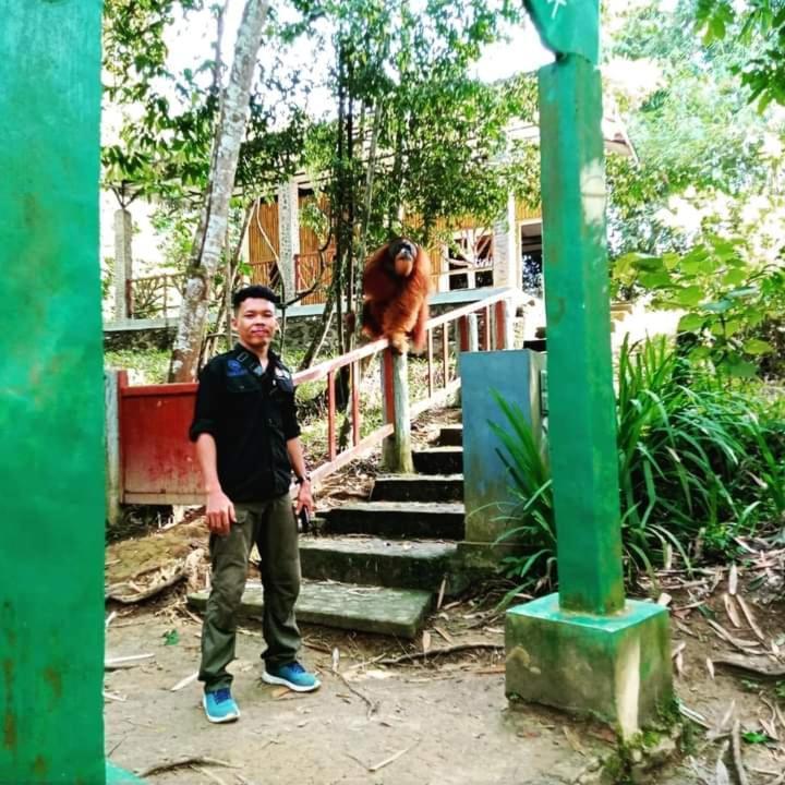 Pongo Guest House & Jungle Trekking Bukit Lawang Exteriör bild