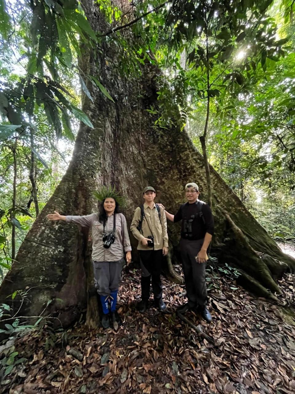 Pongo Guest House & Jungle Trekking Bukit Lawang Exteriör bild