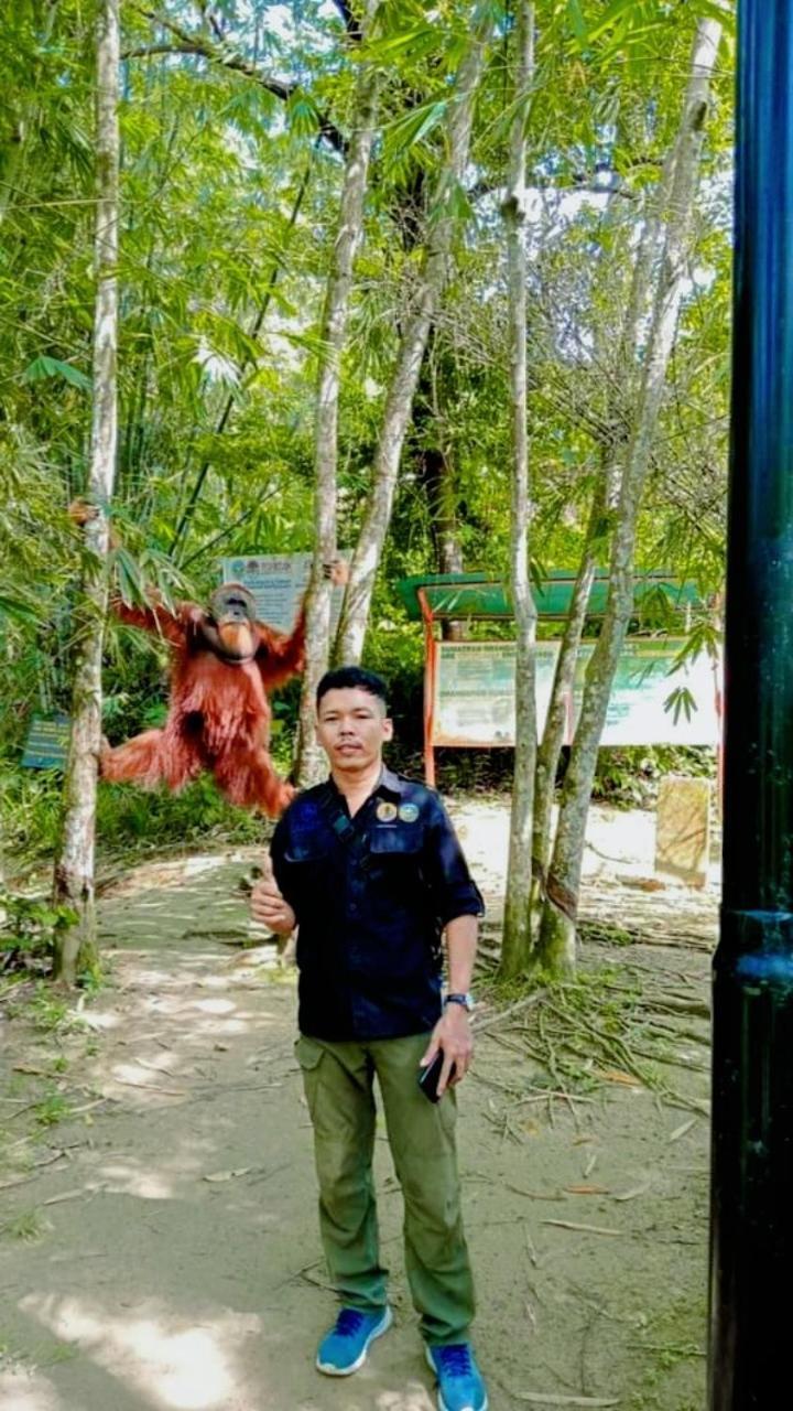 Pongo Guest House & Jungle Trekking Bukit Lawang Exteriör bild