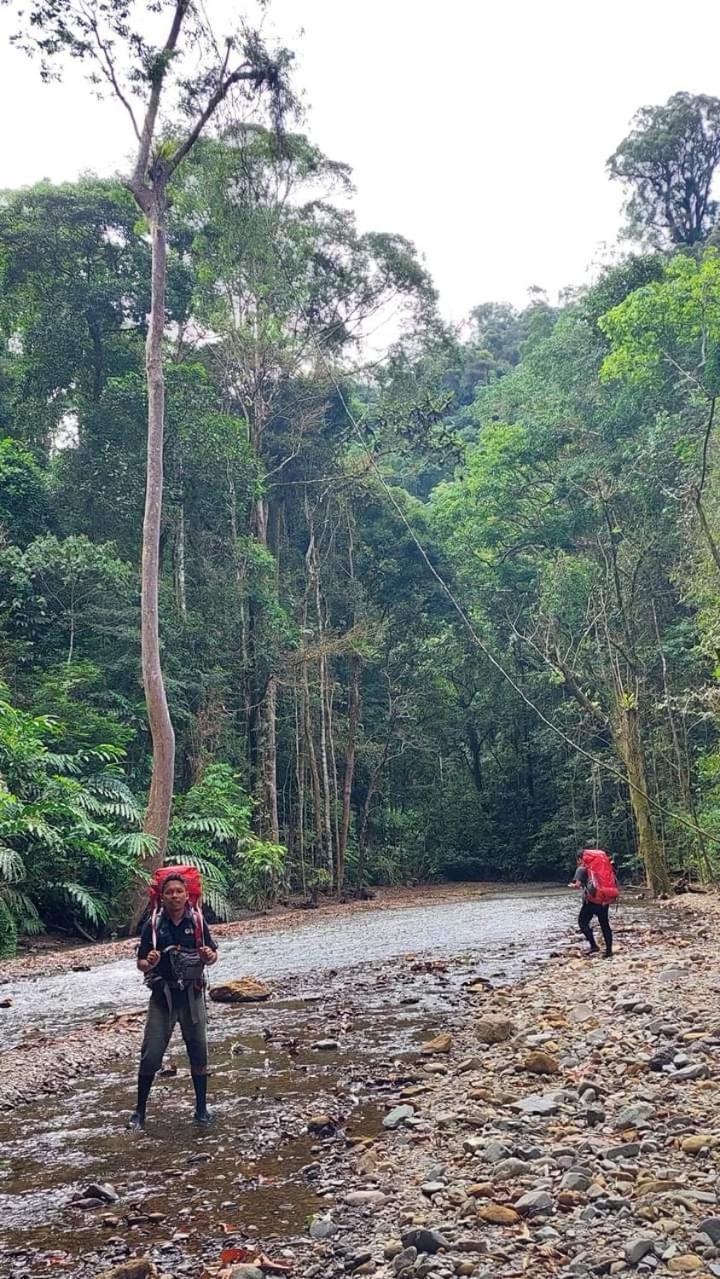 Pongo Guest House & Jungle Trekking Bukit Lawang Exteriör bild